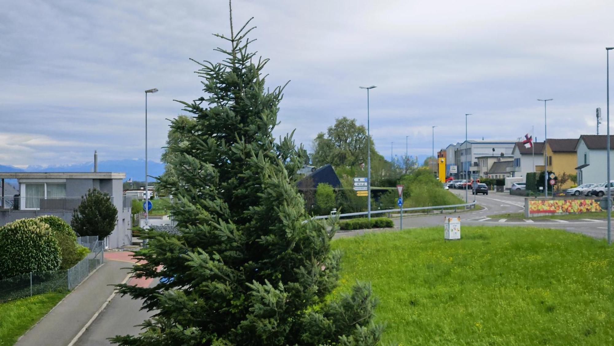 Mbar Hotell Altnau Eksteriør bilde